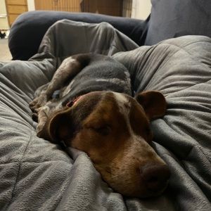 Meet your Posher, Aaron